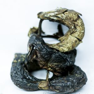 EJA AJEDE PAPER FISH.