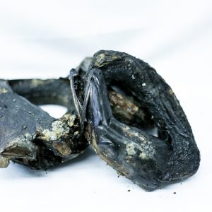 SMOKED FRESH FATUUM FISH